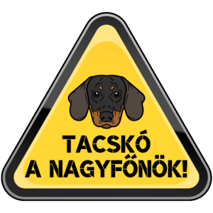 Tacskó a nagyfőnök